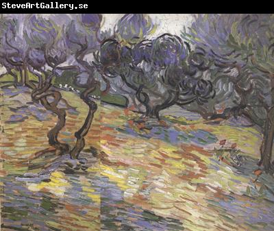 Vincent Van Gogh Olive Trees:Bright Blue Sky (nn04)